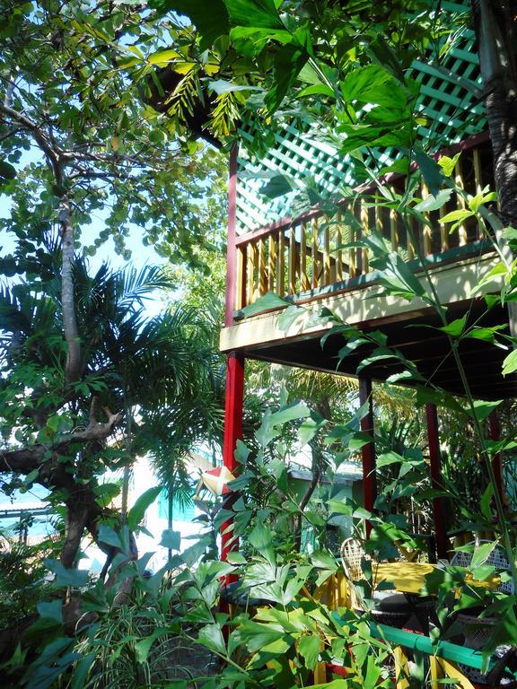 Banana Shout Resort نيغريل المظهر الخارجي الصورة