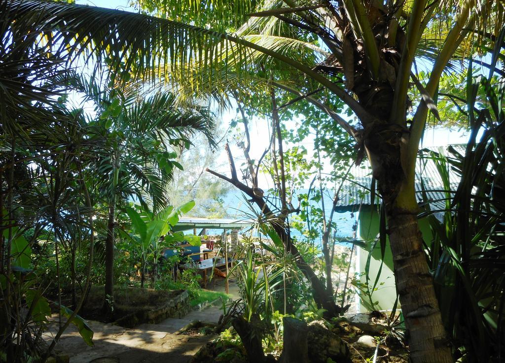 Banana Shout Resort نيغريل المظهر الخارجي الصورة