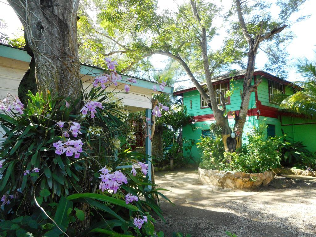 Banana Shout Resort نيغريل المظهر الخارجي الصورة